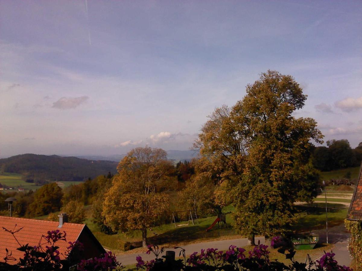 Ferienwohnung Schoenblick Waldmünchen Esterno foto