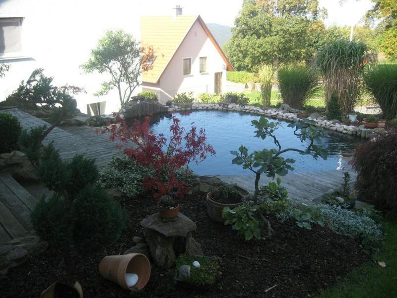 Ferienwohnung Schoenblick Waldmünchen Esterno foto